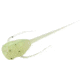 Rapala Paralyzer Panfish Plastics Soft Bait, 6, 5in, Radioactive Pickle, PL-RP