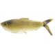 Rapala The Dine Swimbaits, 3, 4.25 - 5in, Golden Retriever, CB-DINE4.25-3