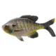 Rapala The Gill Wege Tail Swimbaits, 1, 5.25in, Natural Bluegill, CB-GillW5.25-9