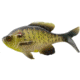 Rapala The Gill Wege Tail Swimbaits, 1, 5.25in, Natural Sunfish, CB-GillW5.25-8