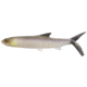 Rapala The Ladyfish Boot Tail Swimbaits, 1, 5 - 8in, Light Ladyfish, CB-LFB8-27