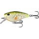 Rapala Warthog Squarebill 3/4oz, 5in, Dream Gill, 2.75in, W70-5-8