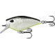 Rapala Warthog Squarebill 3/4oz, 5in, Neon Disco Shad, 2.75in, W70-5-38