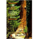 50 Best Short Hikes Ut N Parks, John Krist, Publisher - Wilderness Press