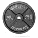 Flybird Fitness Flybird Olympic Weight Plates D7184A9E, 8038710378754