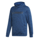Adidas Terrex Logo Hoodie - Men's, Blue Beauty, DT4829-DEMO