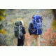 ALPS Mountaineering Red Tail 3900 Pack-Green