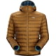 Arc'teryx Cerium LT Hoody - Men's