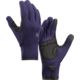 Arc'teryx Rivet Gloves - Men's