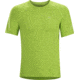 Arcteryx Accelerator Crew Short Sleeve Shirt - Mens-Vert Green-X-Large
