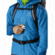 Arcteryx Alpha Ar Jacket - Mens, Thalassa, Extra Large, 396094