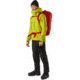 Arcteryx Alpha FL 40 Backpack, Dynasty, Regular, 440532
