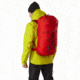 Arcteryx Alpha FL 40 Backpack, Dynasty, Regular, 440532