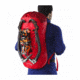 Arc'teryx Alpha FL 45 Backpack, Cardinal, Regular, 287182