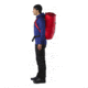 Arc'teryx Alpha FL 45 Backpack, Cardinal, Regular, 287182