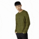 Arcteryx ArcWord T-Shirt Ls - Mens, Bushwhack, Large, 396797