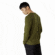 Arcteryx ArcWord T-Shirt Ls - Mens, Bushwhack, Large, 396797