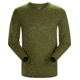 Arcteryx ArcWord T-Shirt Ls - Mens, Bushwhack, Large, 396797