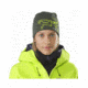 Arc'teryx Bird Head Toque, Shorepine/Titanite, 352948