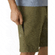 Arcteryx Creston Short 11in - Mens, Arbour, 32, 419753