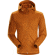 Arc'teryx Dallen Fleece Hoody - Men's, Agra, 2XL, 348210