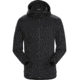 Arcteryx Dallen Fleece Hoody - Mens, Black, Small, 394955