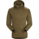 Arcteryx Dallen Fleece Hoody - Mens, Griz, Medium, 394946