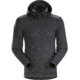 Arc'teryx Dallen Fleece Hoody - Men's, Pilot, 2XL, 348218