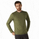Arcteryx Dallen Fleece Pullover - Mens, Symbiome, Small, 417959