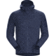 Arcteryx Delta LT Hoody - Mens, Exosphere, 2XL, 414932