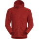 Arcteryx Delta Lt Hoody - Mens, Infrared, Medium, 393949