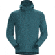 Arcteryx Delta LT Hoody - Mens, Paradigm, Medium, 414920