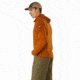 Arcteryx Delta LT Hoody - Mens, Timbre, 2XL, 414940