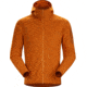 Arcteryx Delta LT Hoody - Mens, Timbre, 2XL, 414940