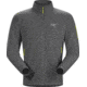 Arc'teryx Delta LT Jacket - Men's-Lithium-Large