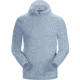 Arcteryx Incendo Hoody - Mens, Aeroscene, Medium, 421475