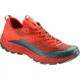 Arc'teryx Norvan VT 2 Trail Running Shoes - Men's, Dyno Red/Yukon, 10.5, 439441
