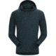 Arc'teryx Phasic Sun Hoody - Men's, Labyrinth, Large, 376760