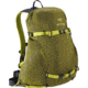 Arcteryx Quintic 20 L Backpack -Biome