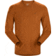 Arcteryx Remige Long Sleeve Shirt - Mens, Agra, Small, 421875