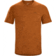 Arcteryx Remige Short Sleeve Shirt - Mens, Agra, Small, 420931