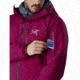 Arcteryx Sidewinder Jacket - Mens, Renegade, Small, 393060