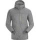 Arcteryx Squamish Hoody - Mens, Cryptochrome, Large, 414524