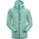 Arcteryx Squamish Hoody - Mens, Kepler, Large, 414500