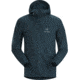 Arcteryx Squamish Hoody - Mens, Labyrinth, Large, 414516