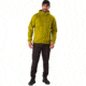 Arcteryx Squamish Hoody - Mens, Olive Amber, Small, 375240