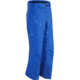 Arcteryx Stinger Pant - Mens, Stellar, Large, 347889