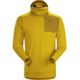 Arc'teryx Stryka Hoody - Men's