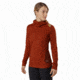 Arcteryx Vertices Hoody - Womens, Dark Sunhaven, Large, 393641