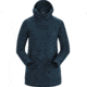 Arcteryx Vertices Hoody - Womens, Labyrinth, Large, 393635